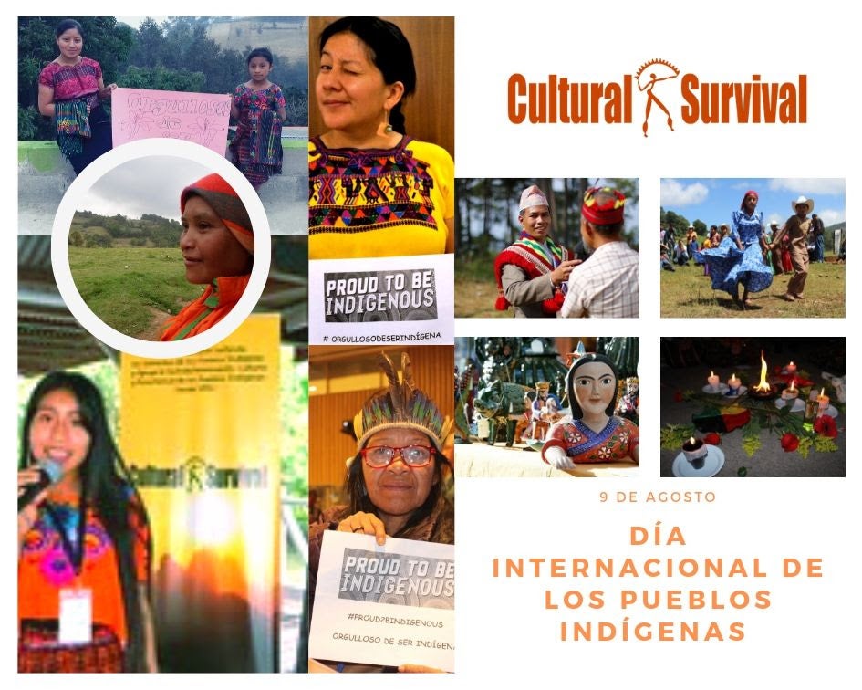 D A Internacional De Los Pueblos Ind Genas Cultural Survival